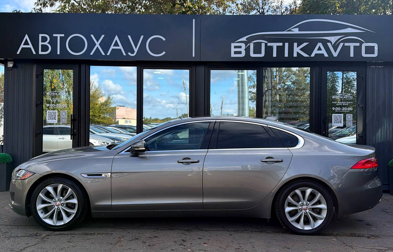  XF