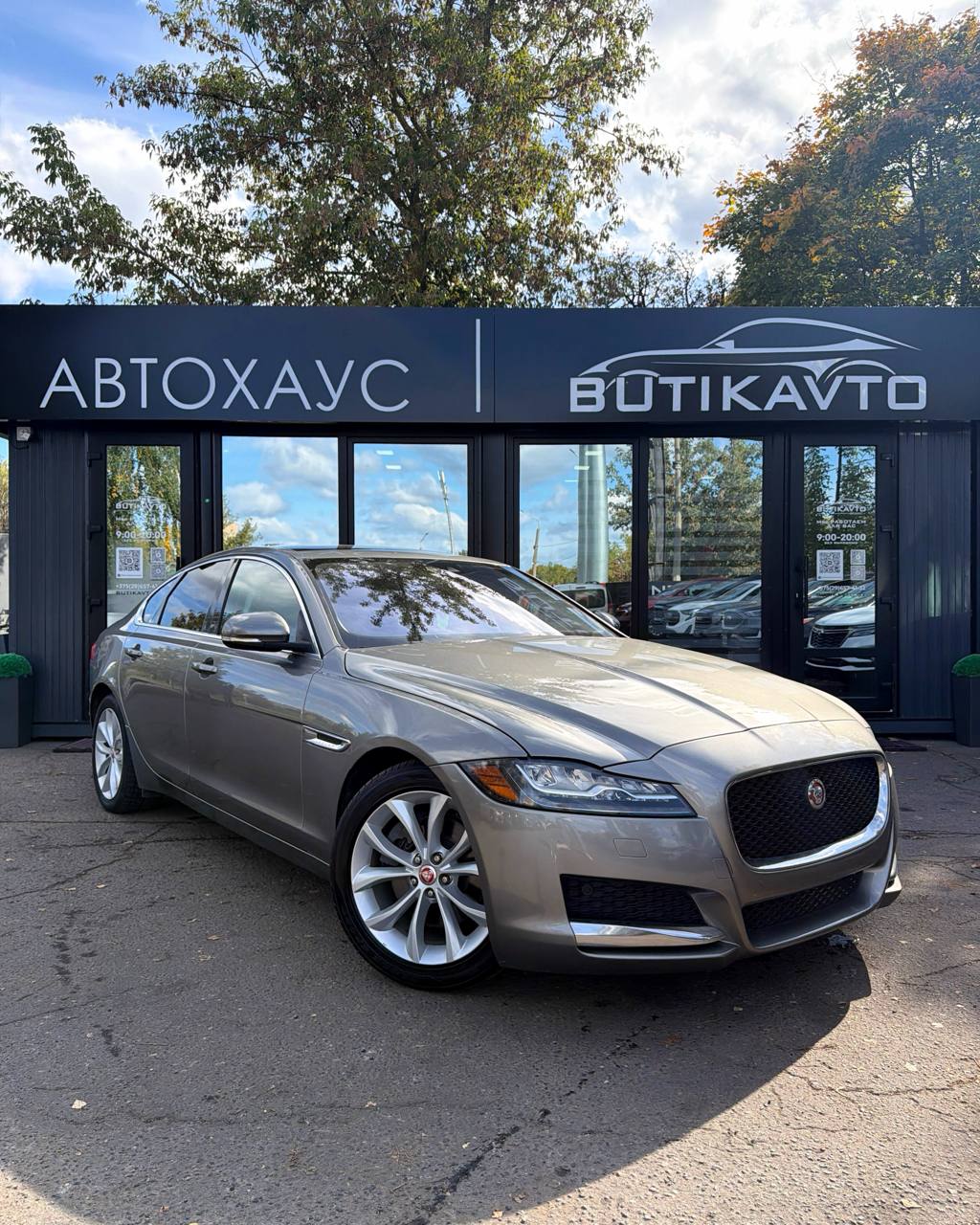 XF