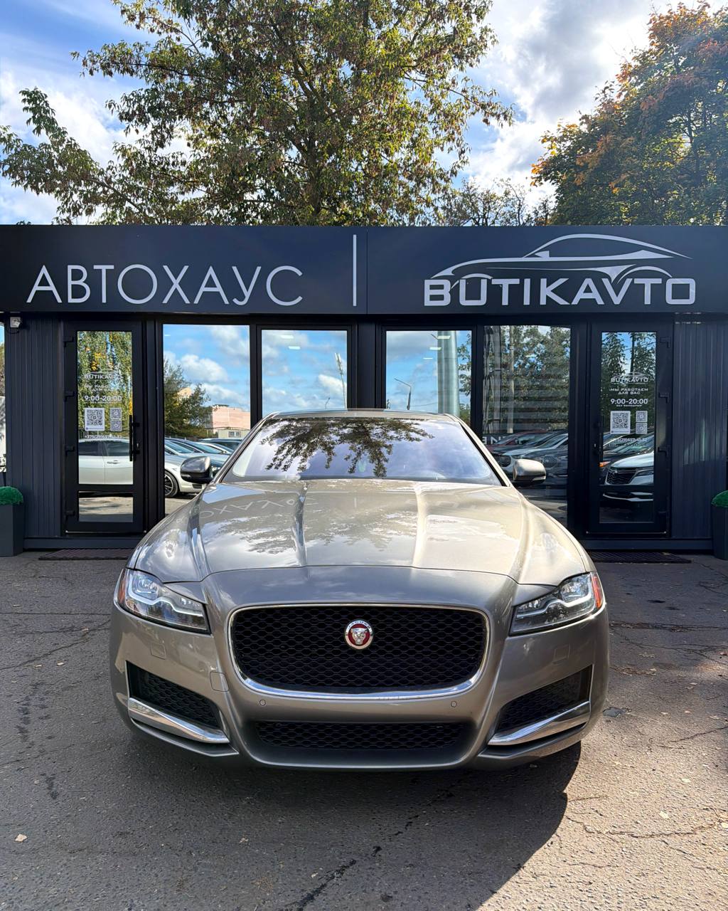  XF