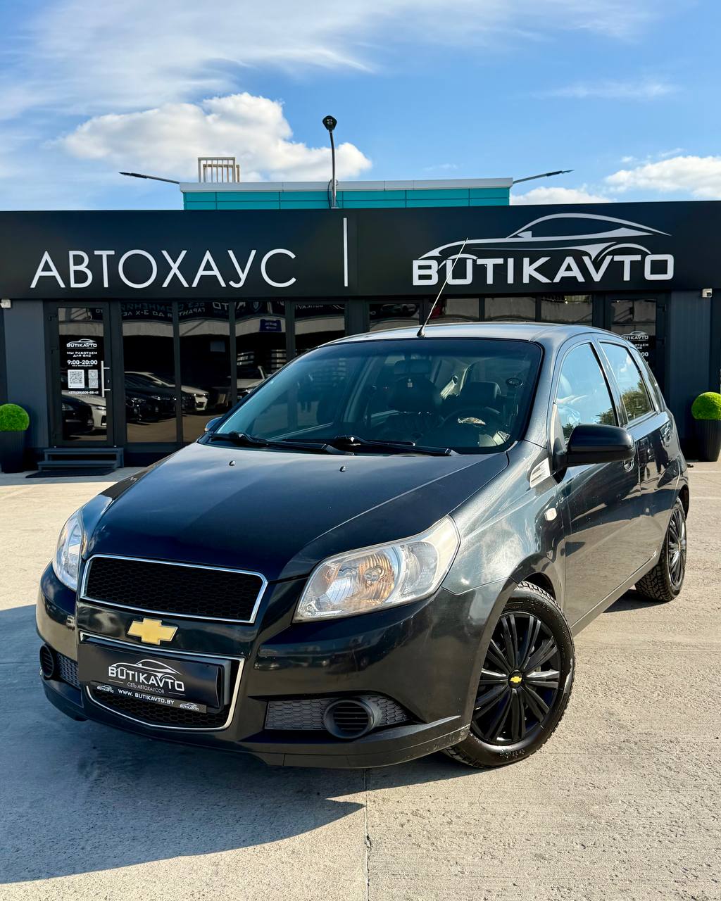  Aveo