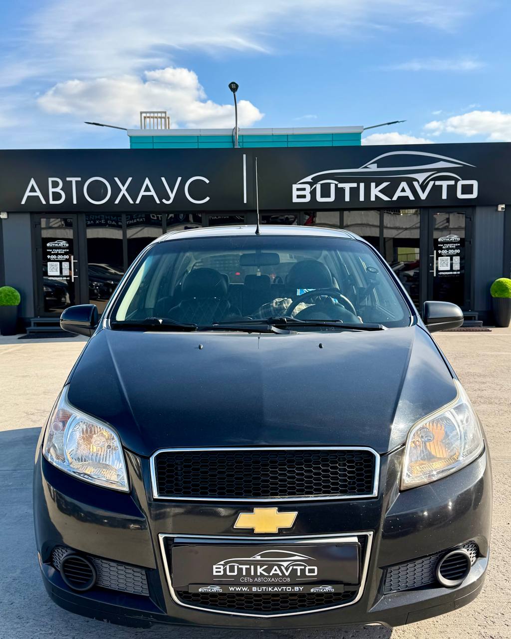  Aveo