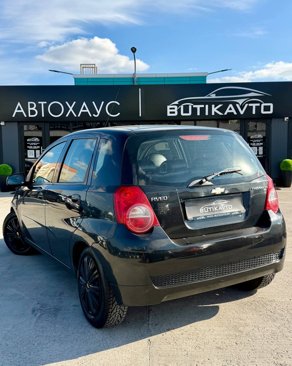  Aveo