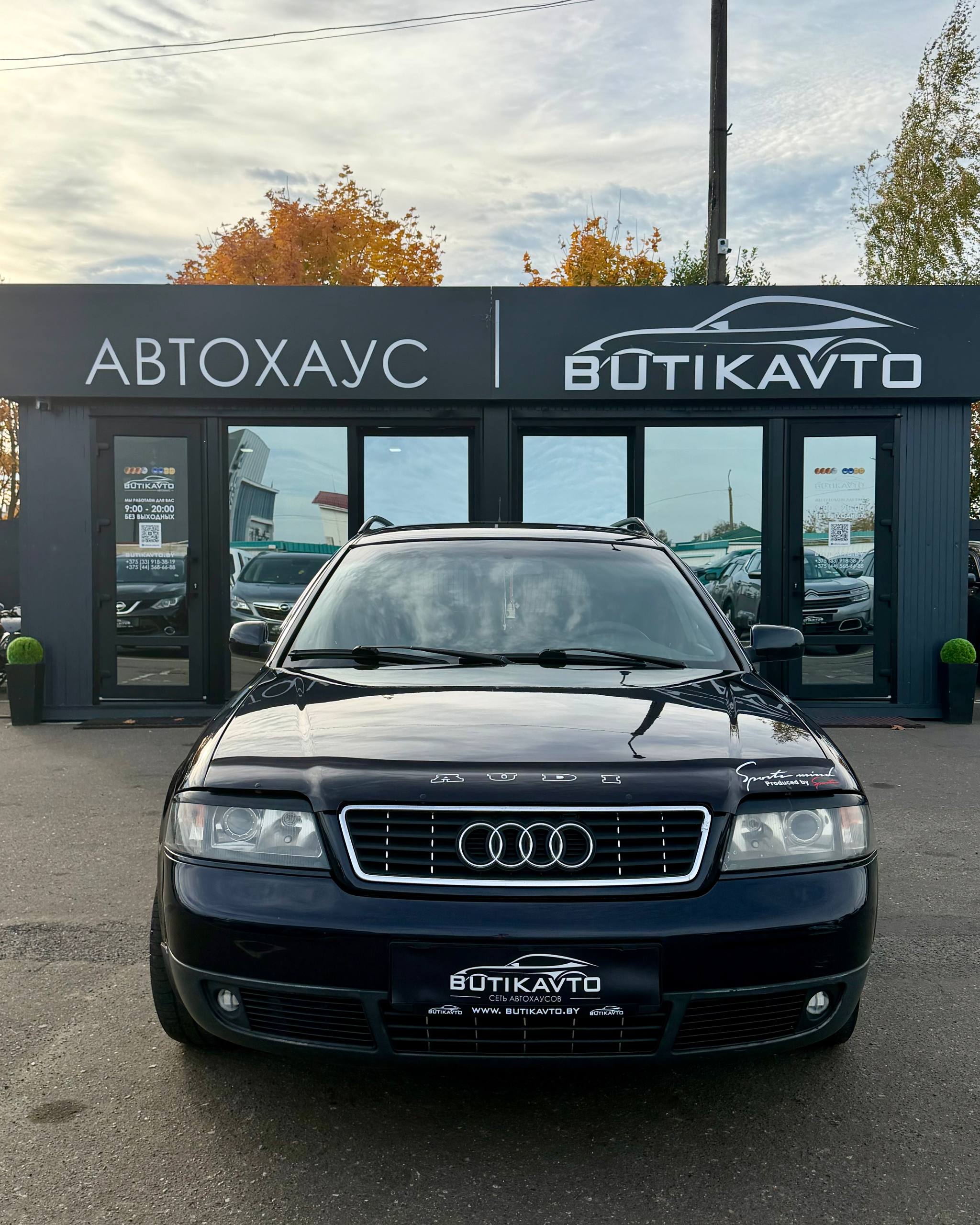  A6