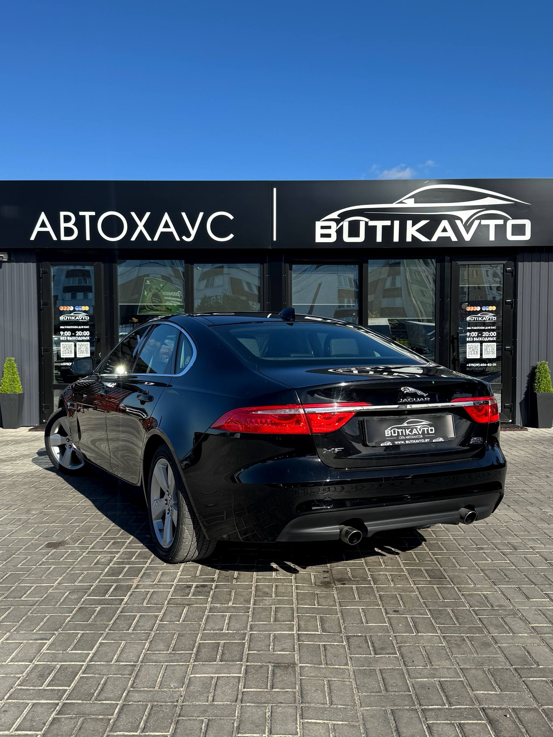  XF