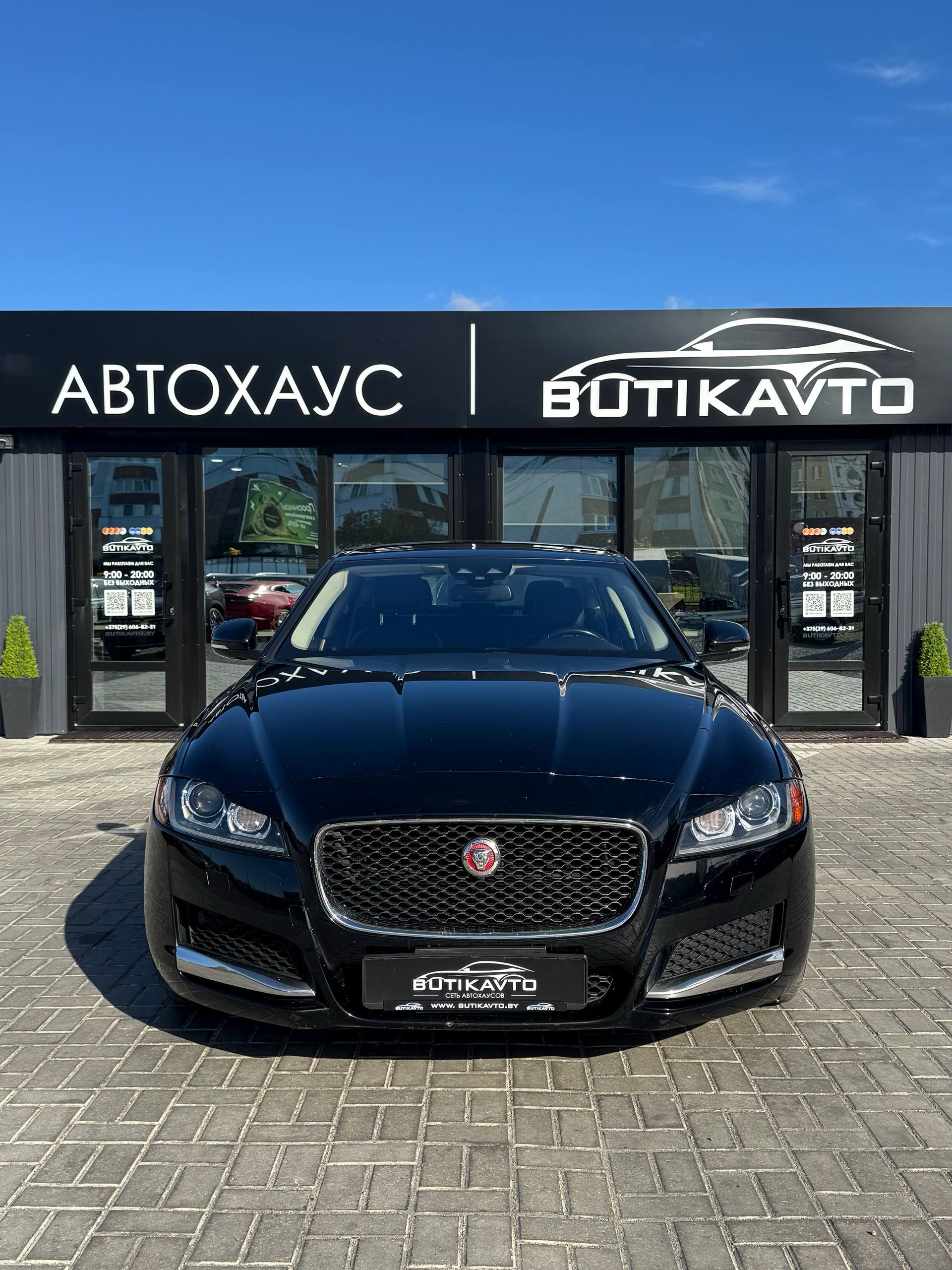  XF