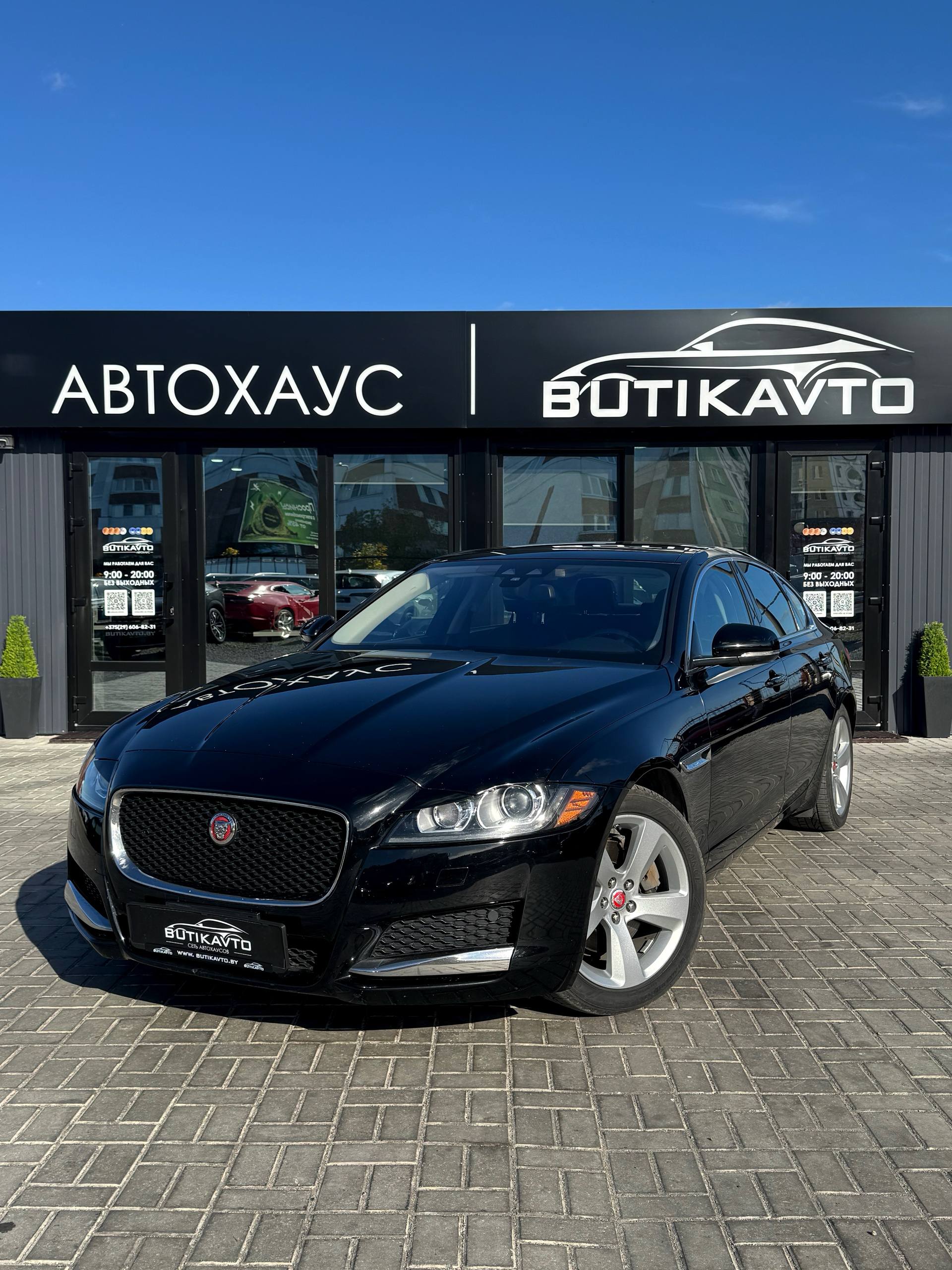  XF