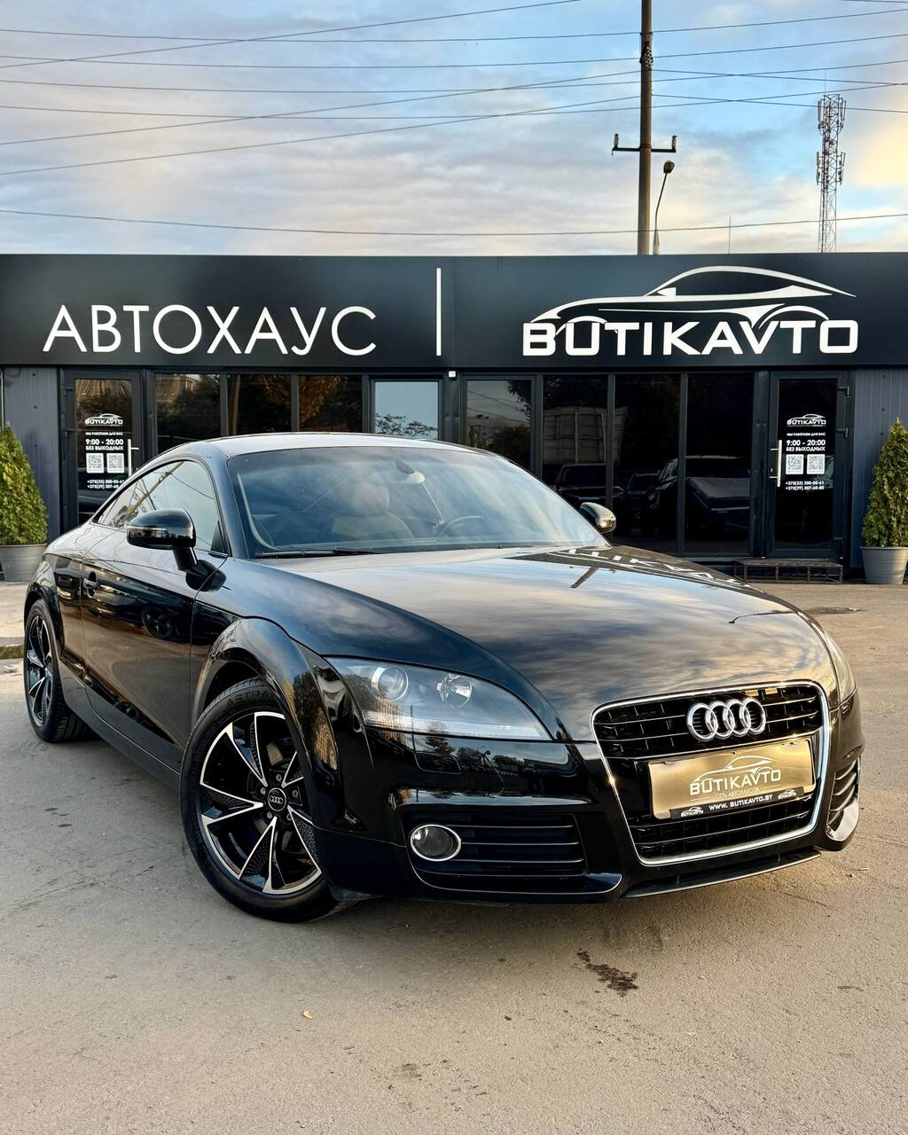  TT