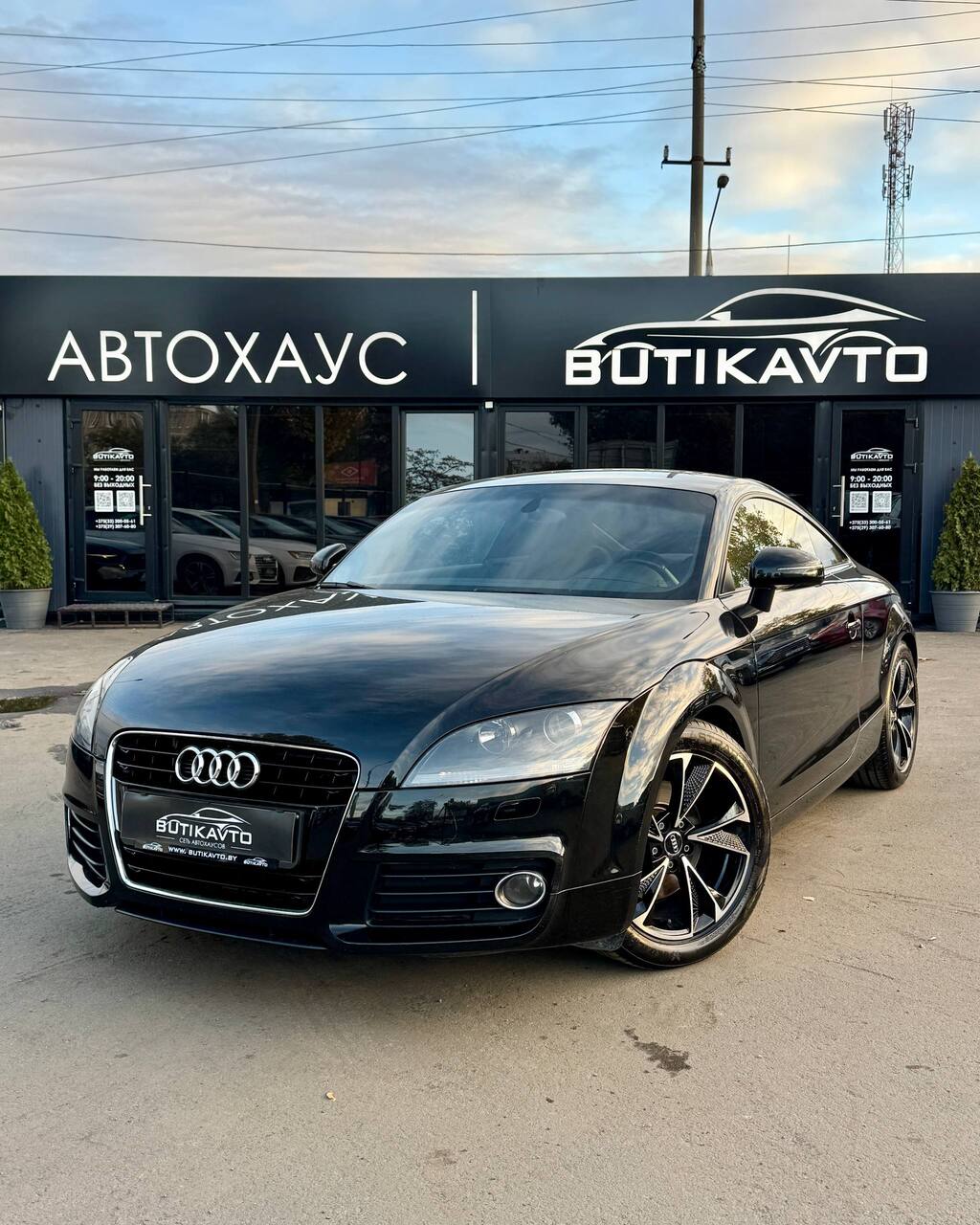  TT