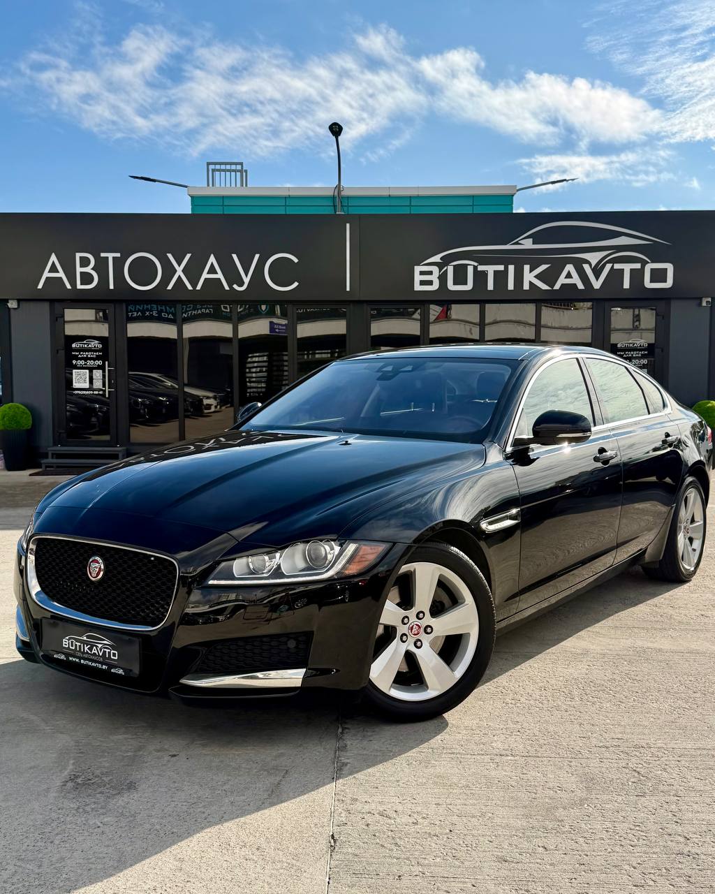  XF