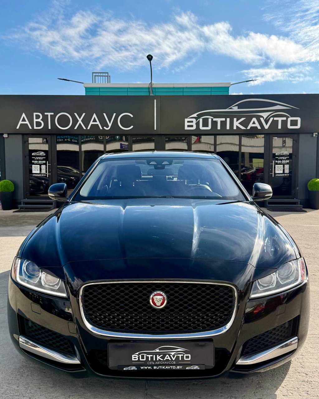  XF