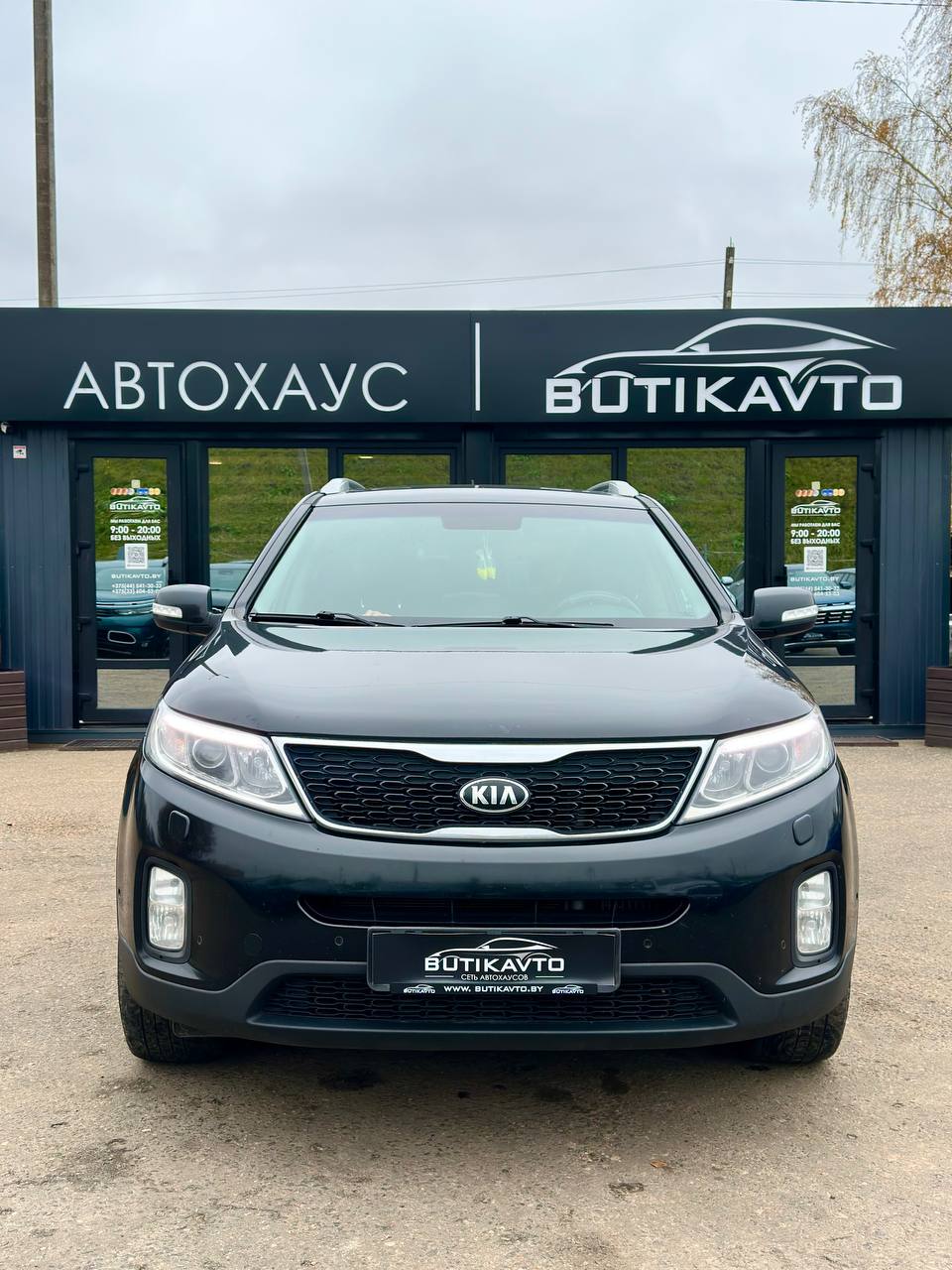  Sorento