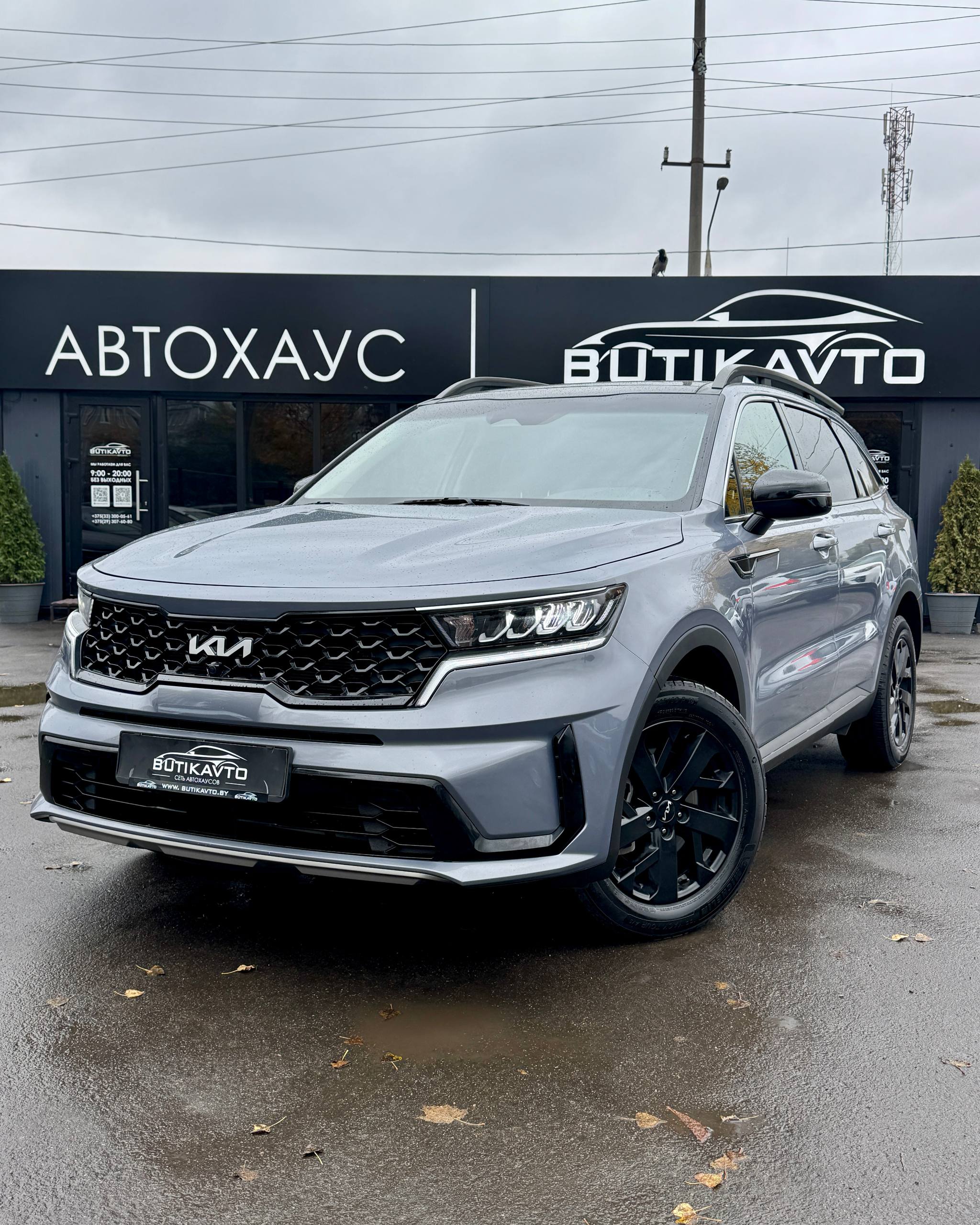 Sorento