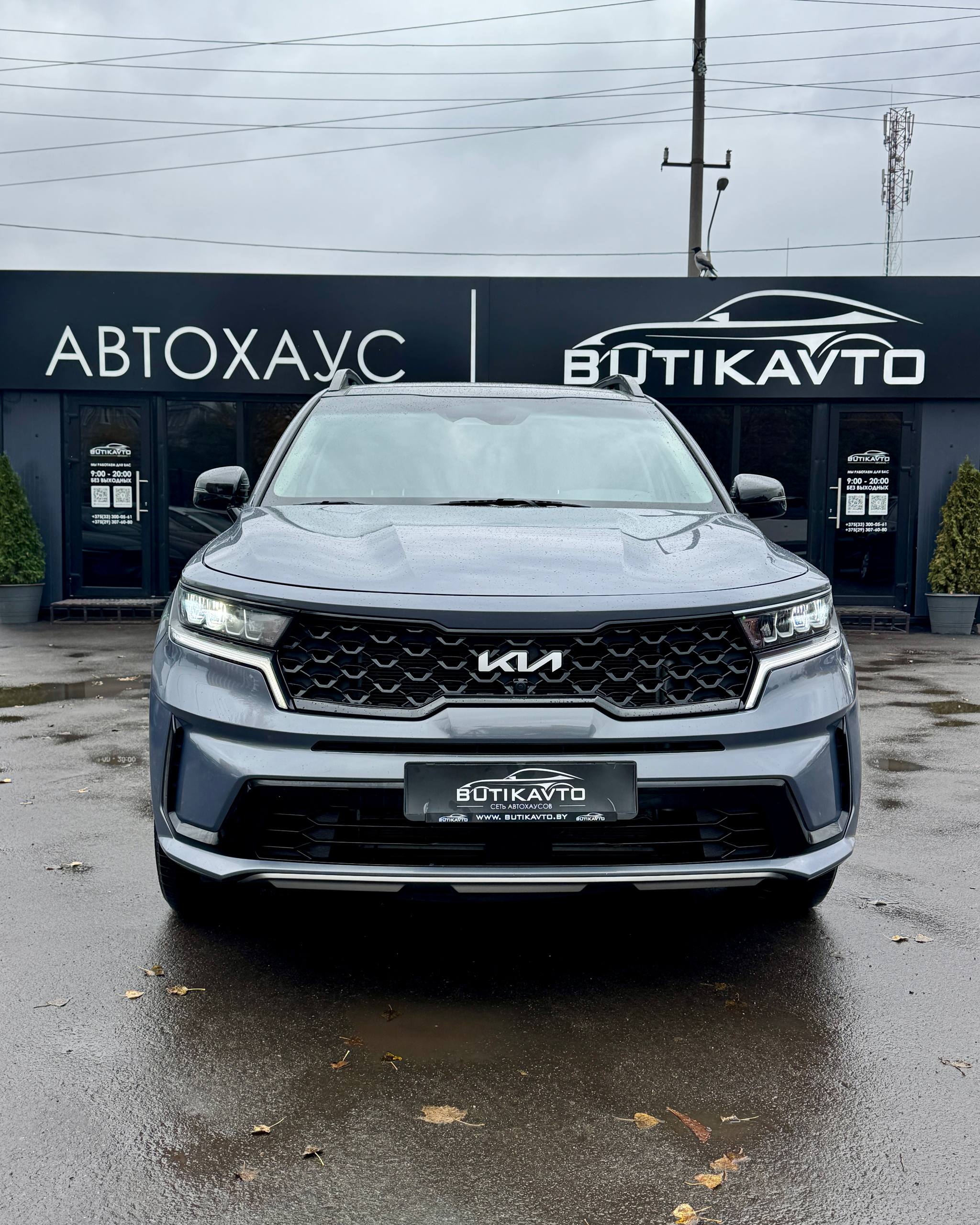  Sorento