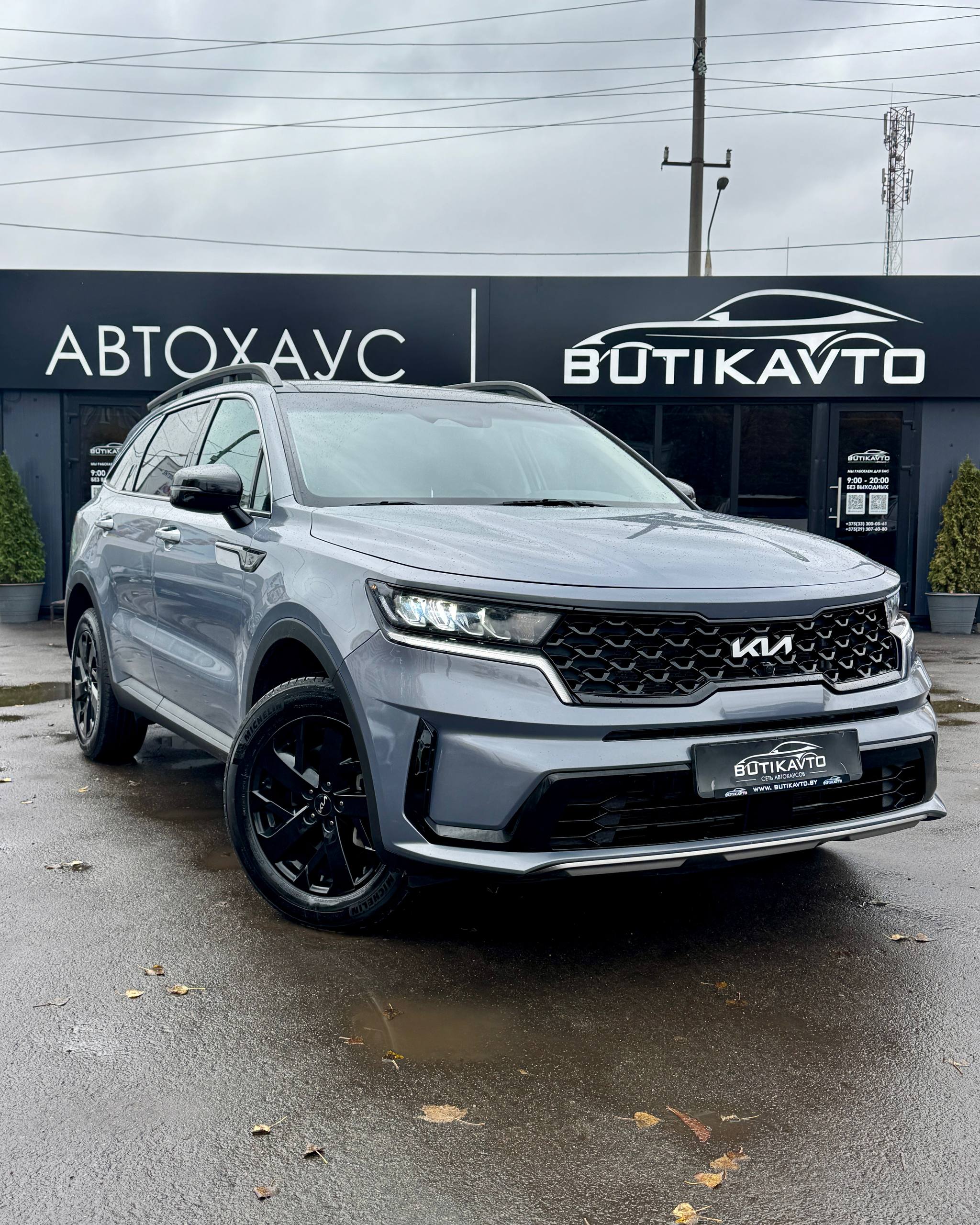  Sorento
