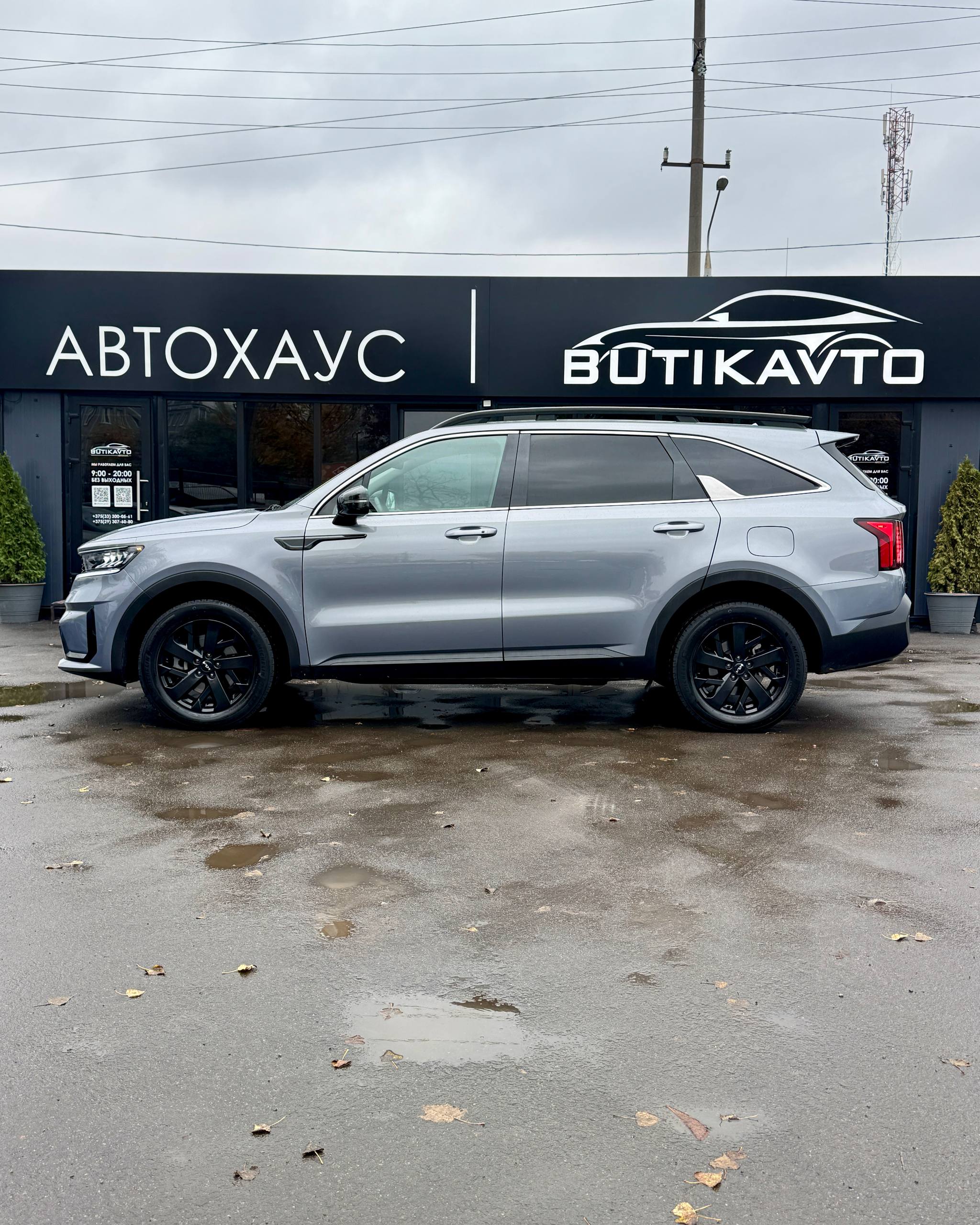  Sorento