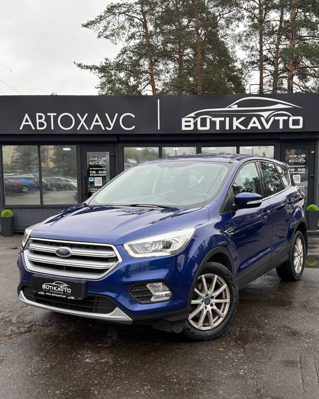  Kuga