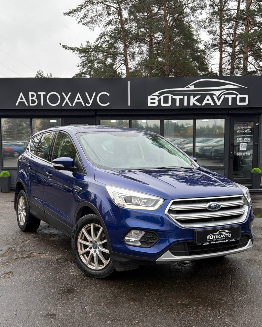  Kuga