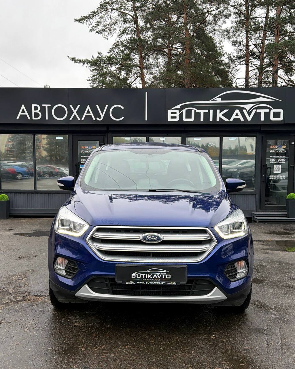  Kuga