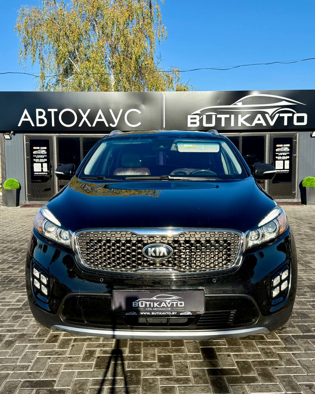  Sorento