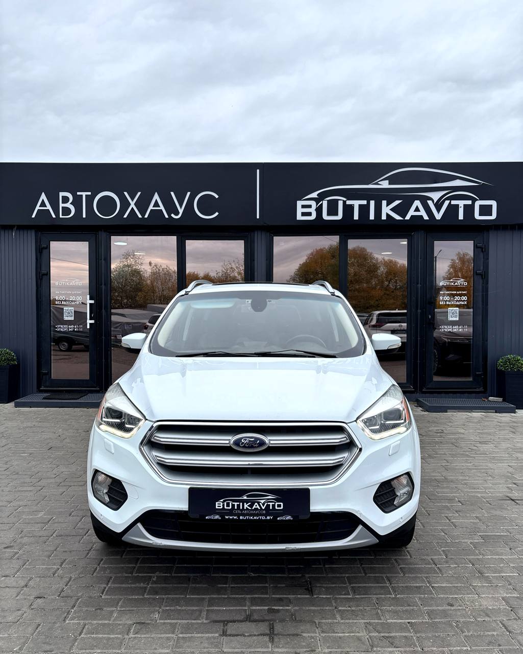  Kuga