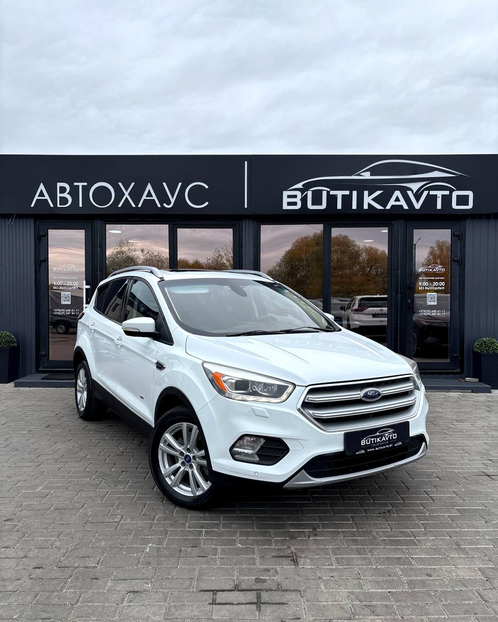  Kuga