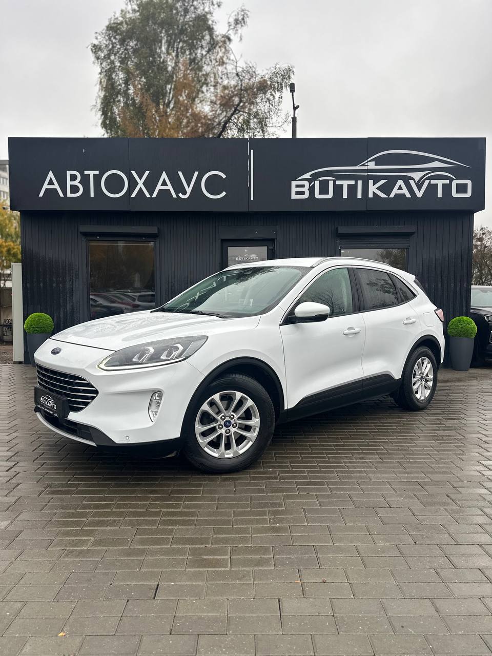  Kuga