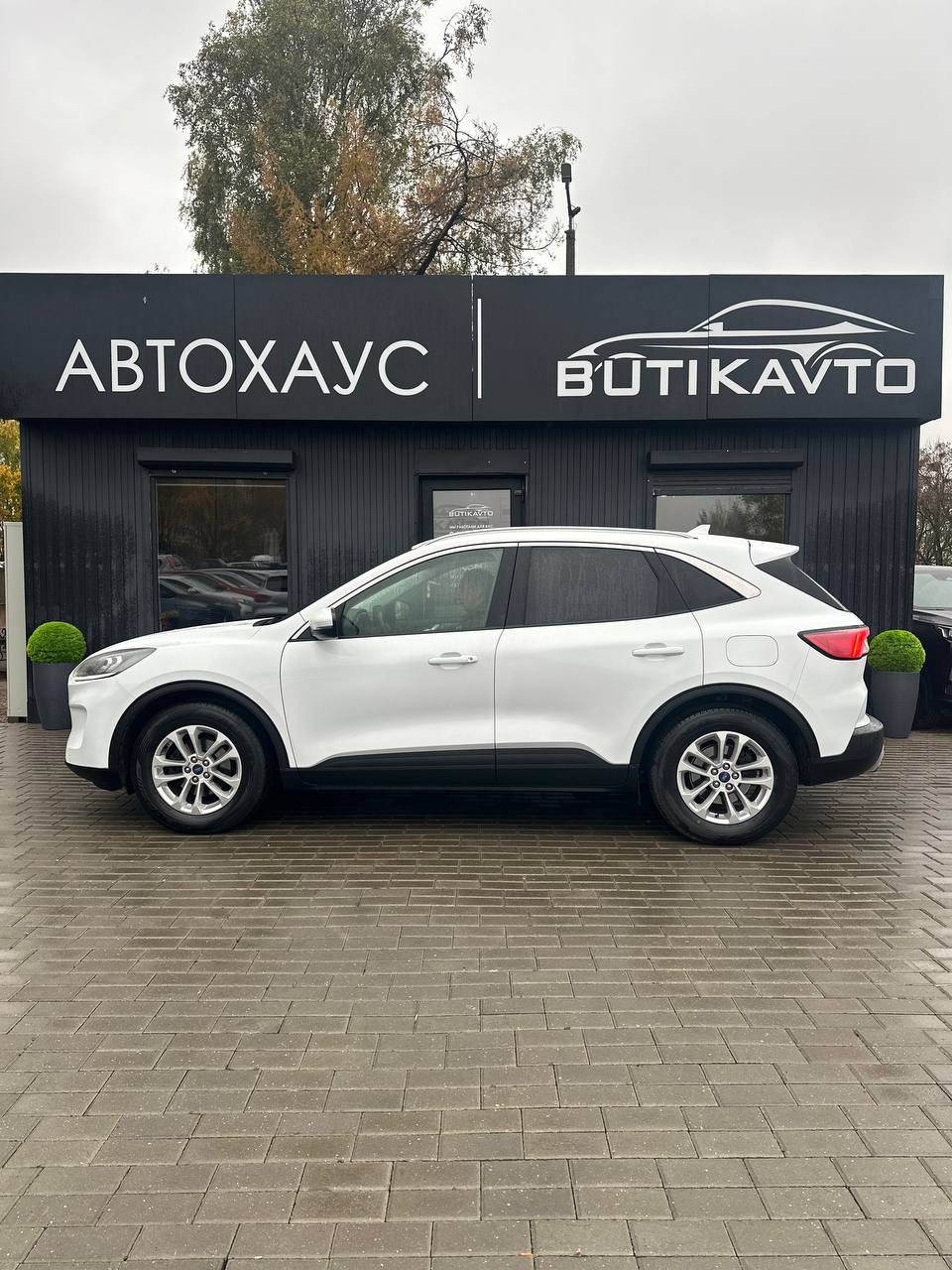  Kuga