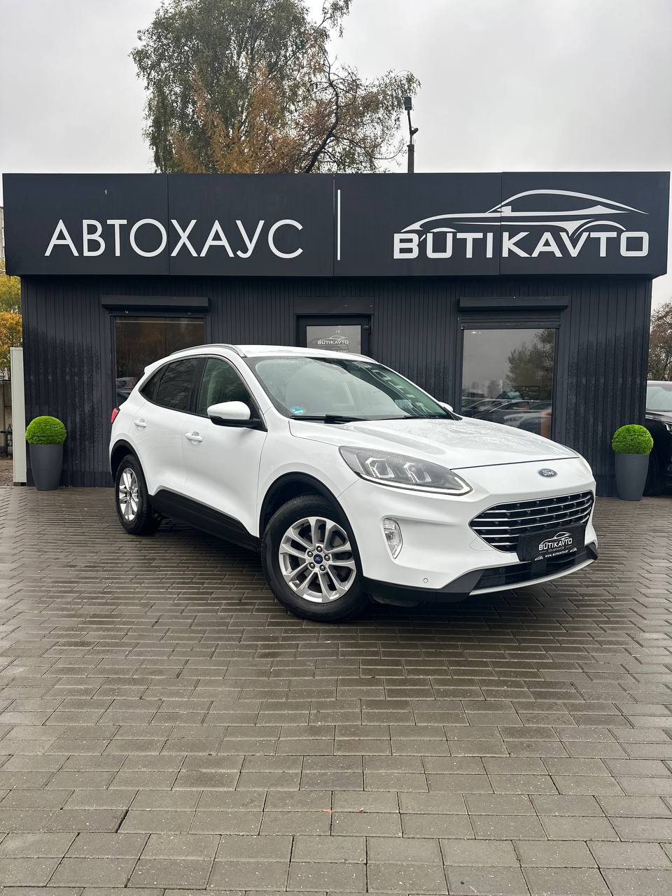  Kuga
