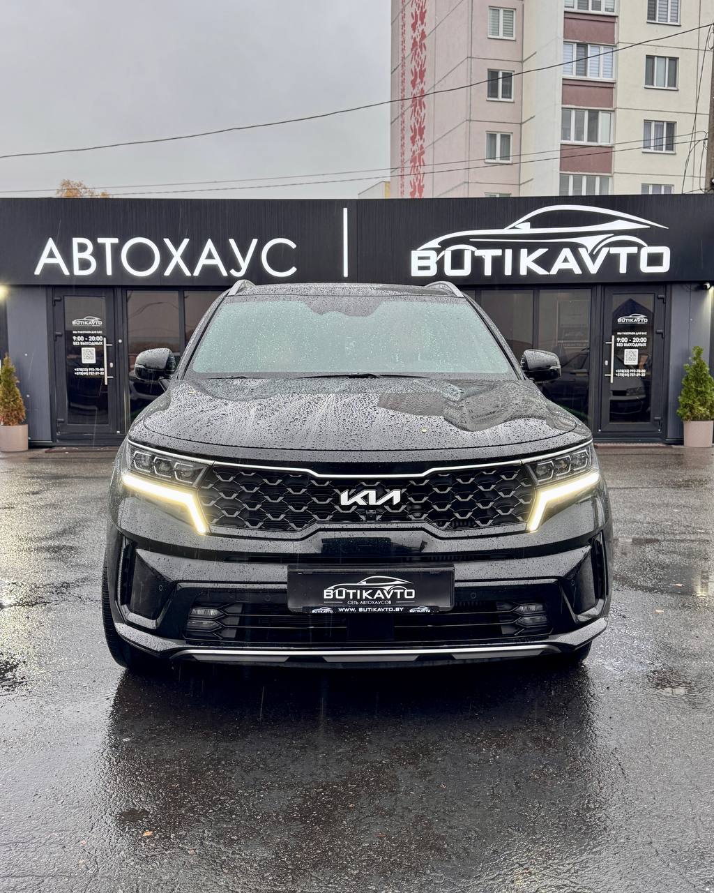  Sorento