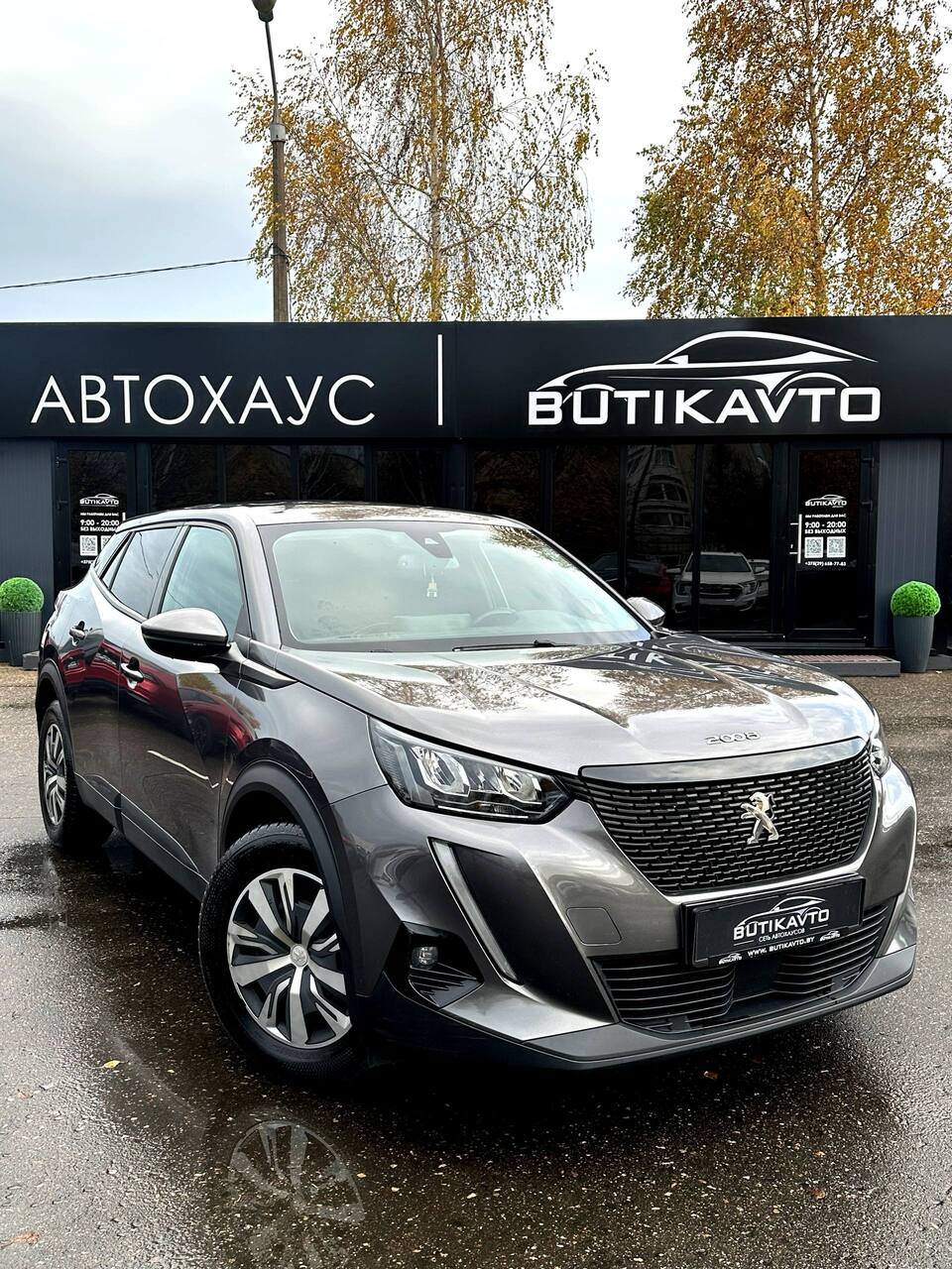  2008 II