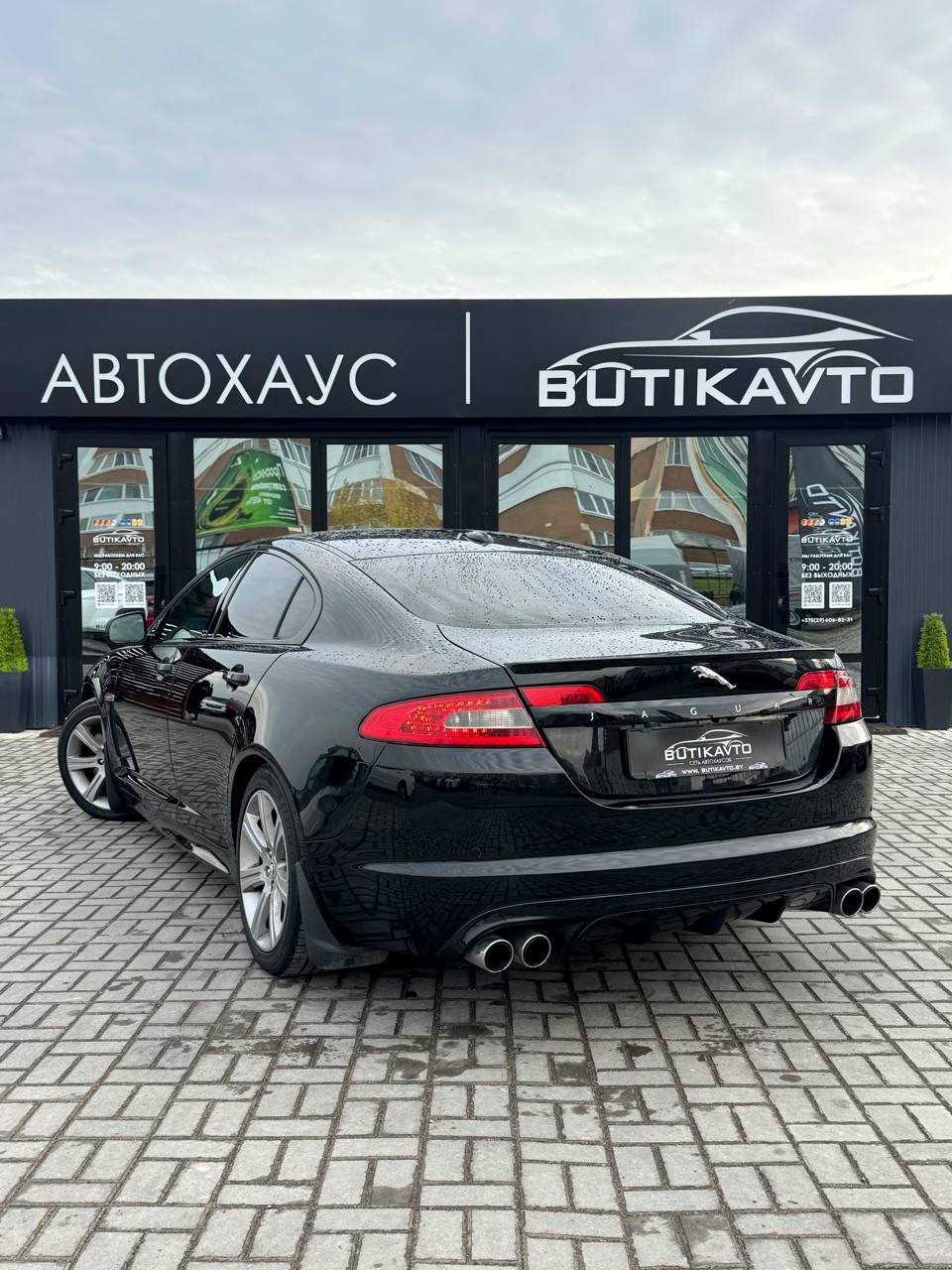  XF