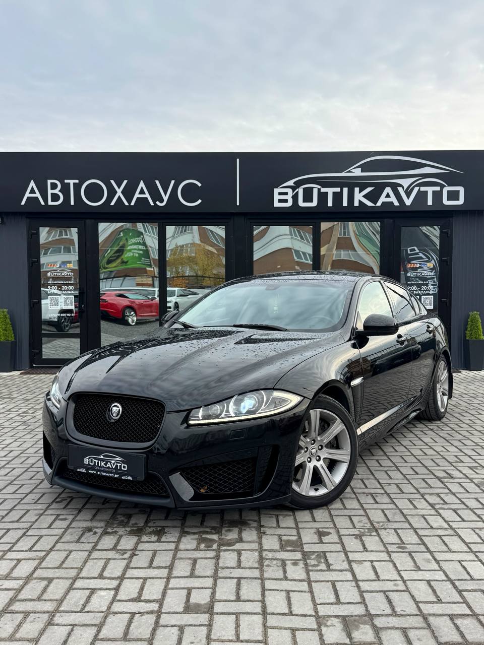  XF