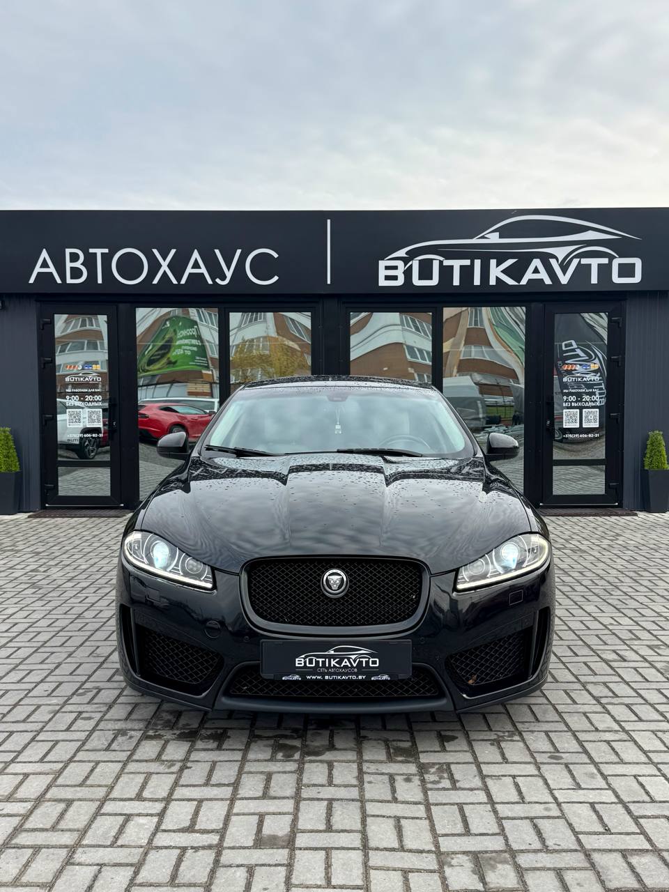 XF