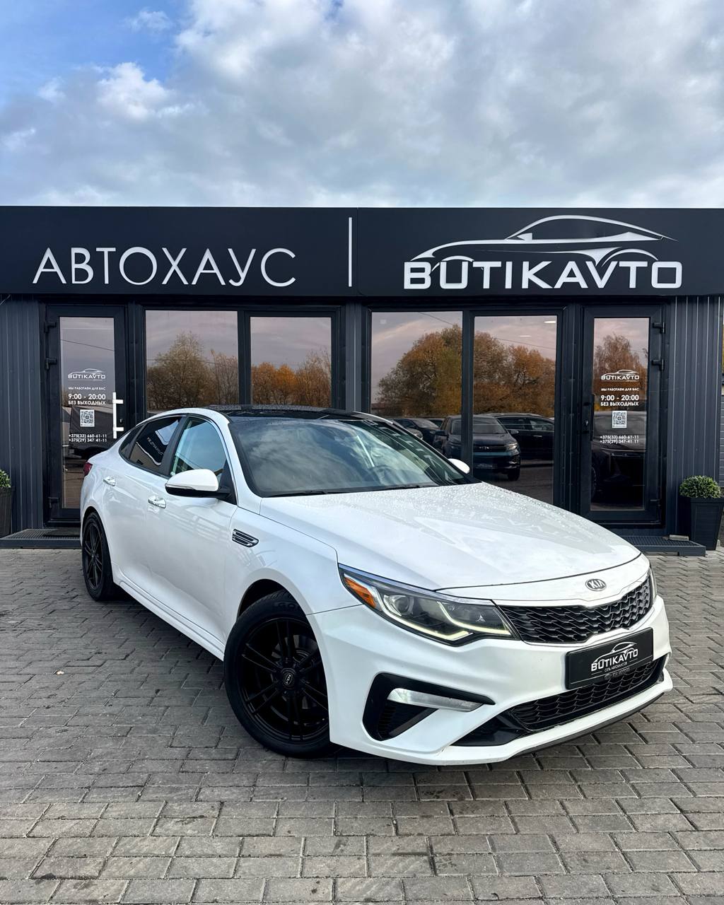  Optima