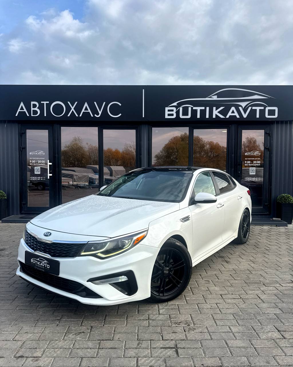  Optima