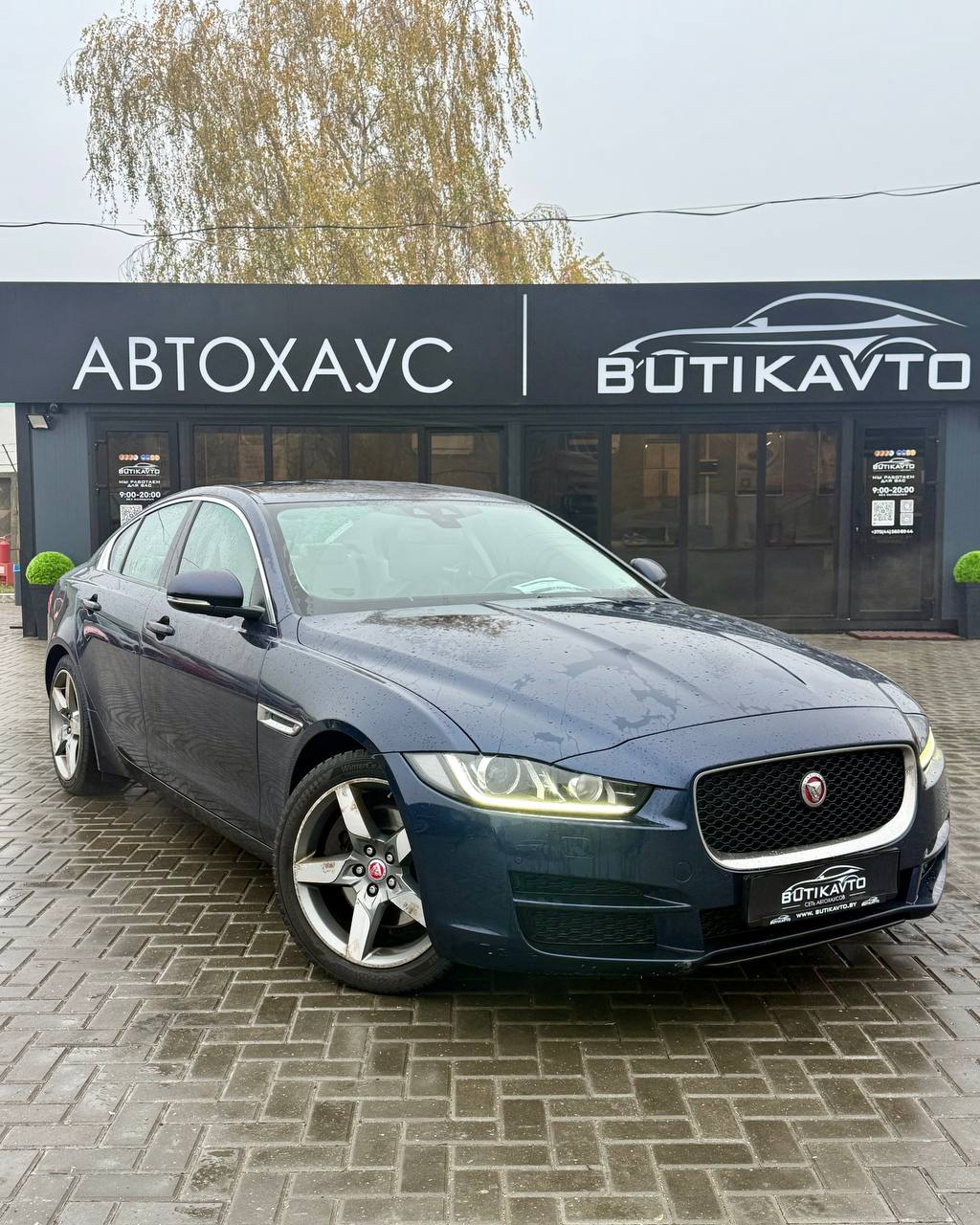  XE