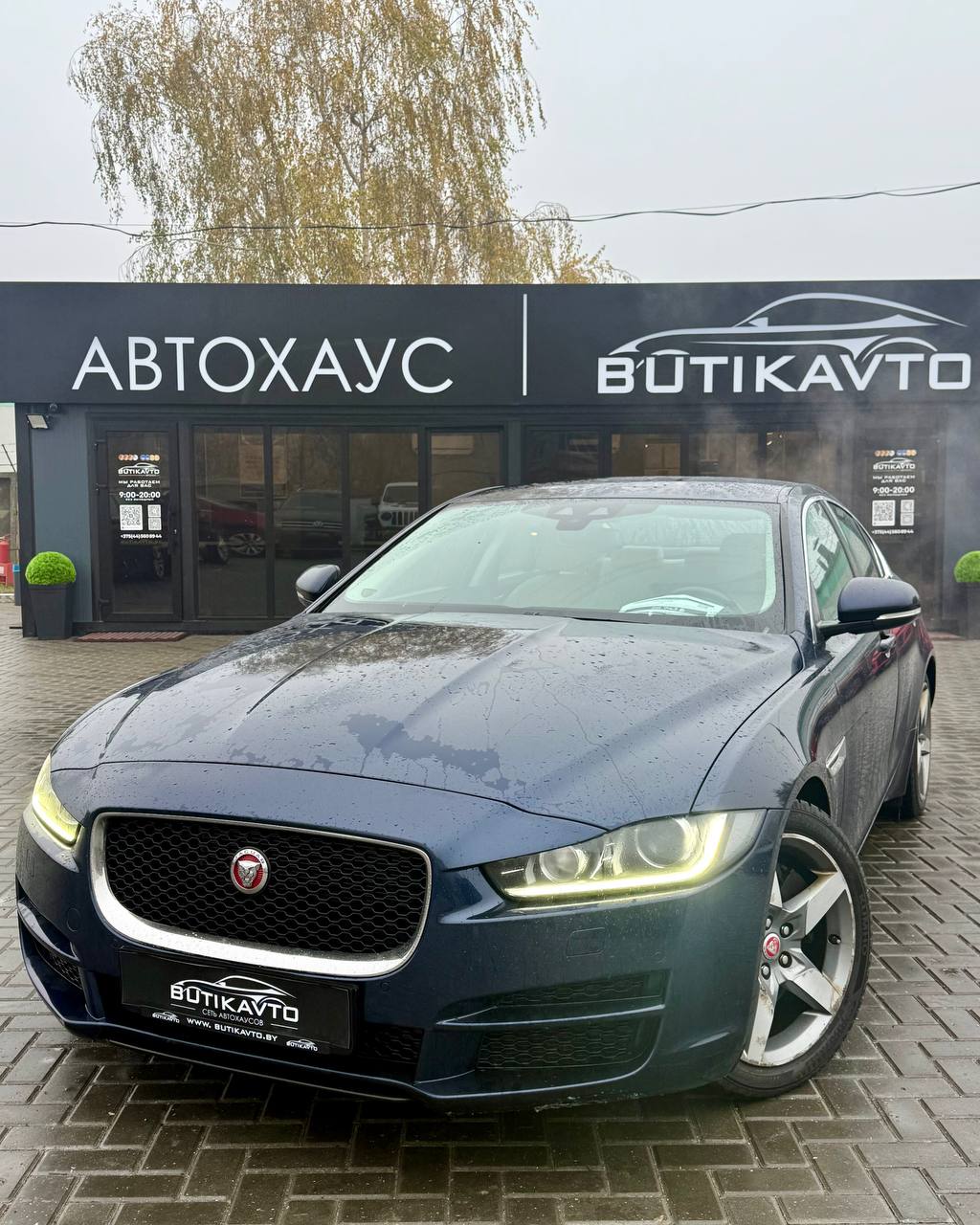  XE