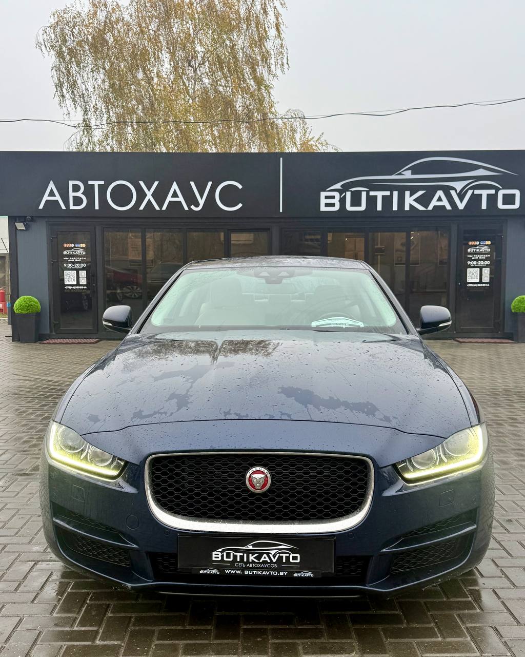  XE
