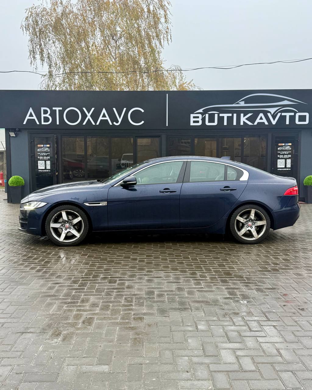  XE