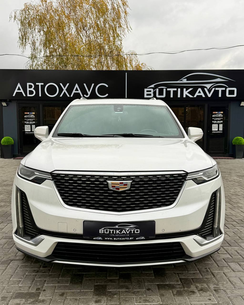  XT6