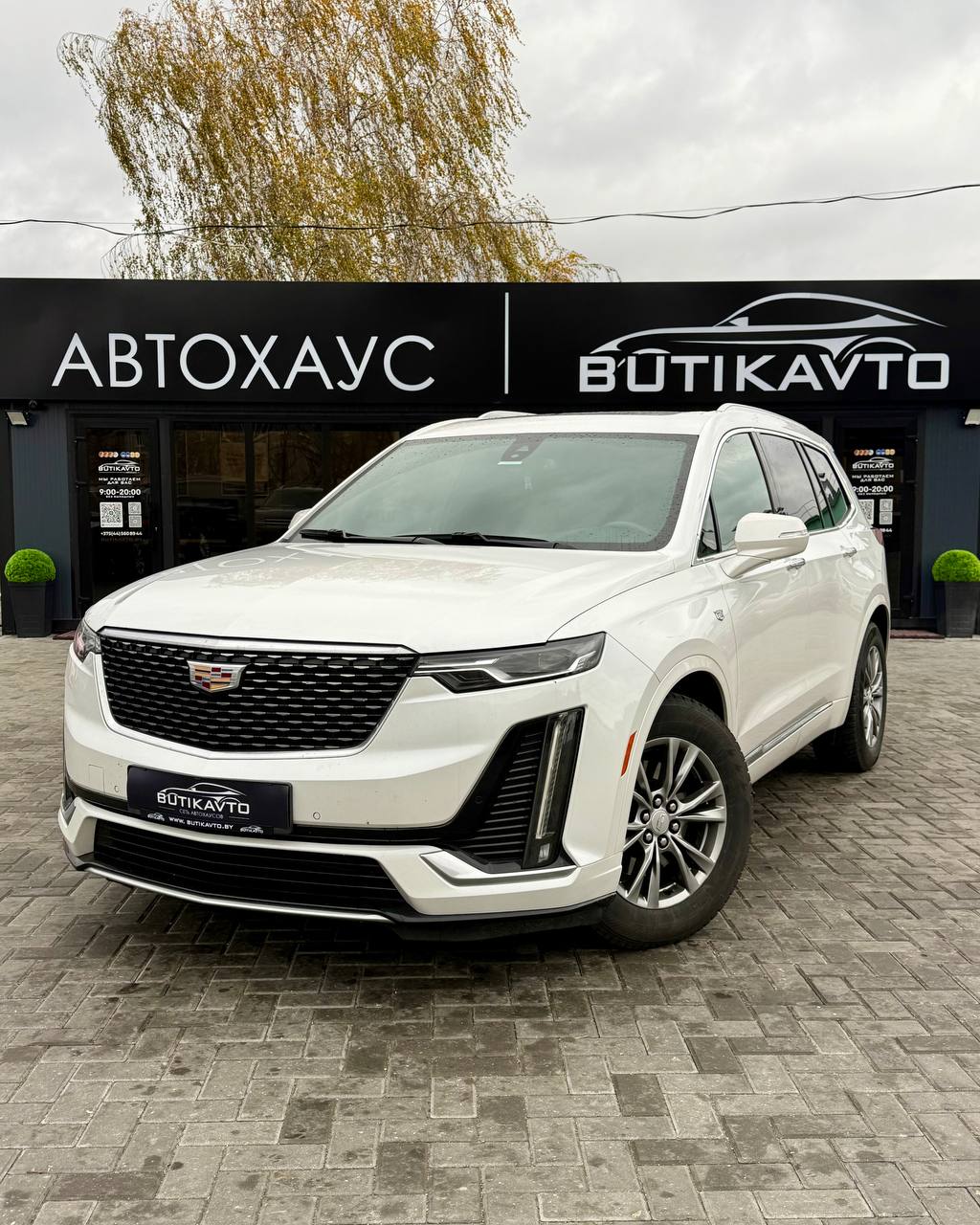  XT6