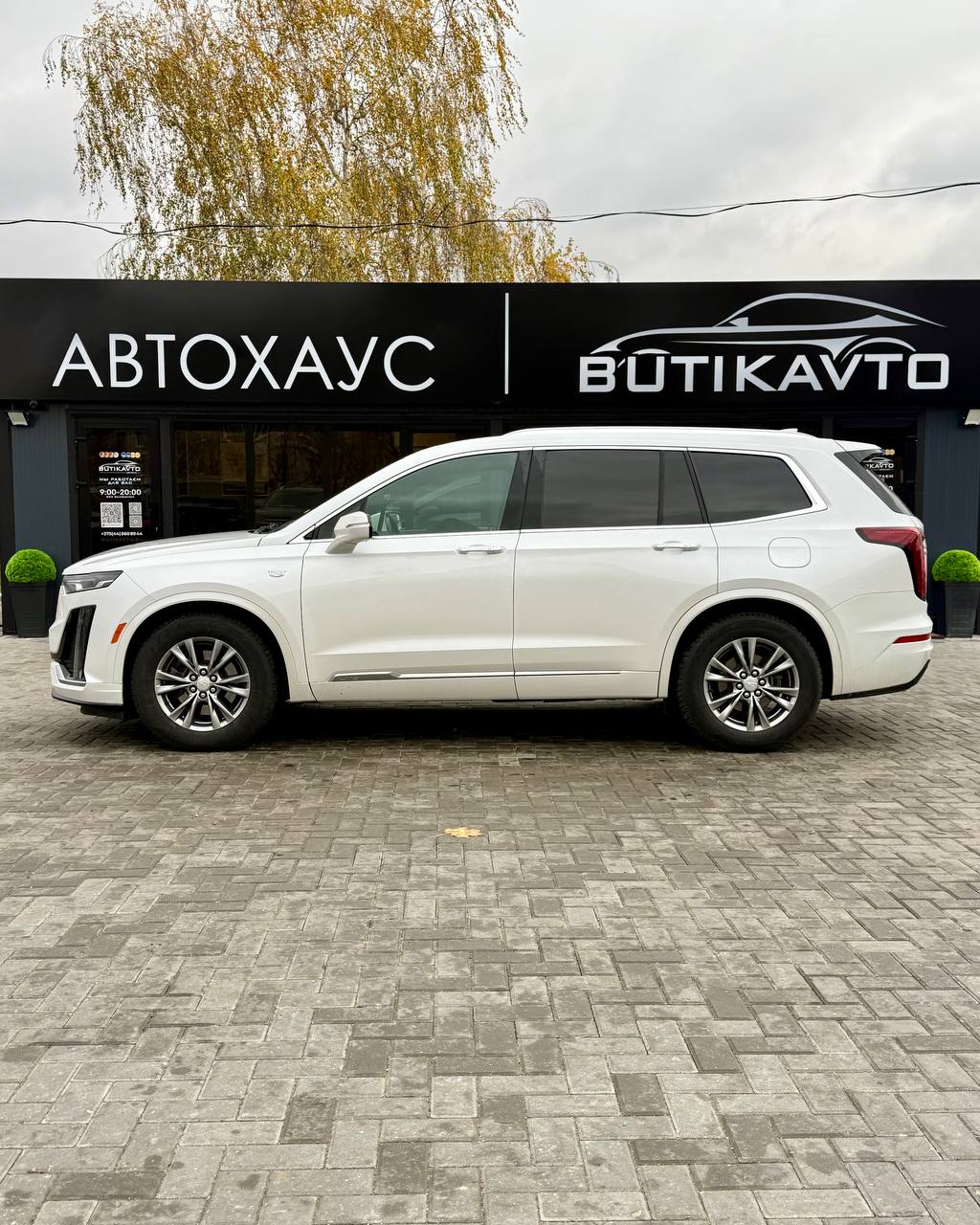  XT6
