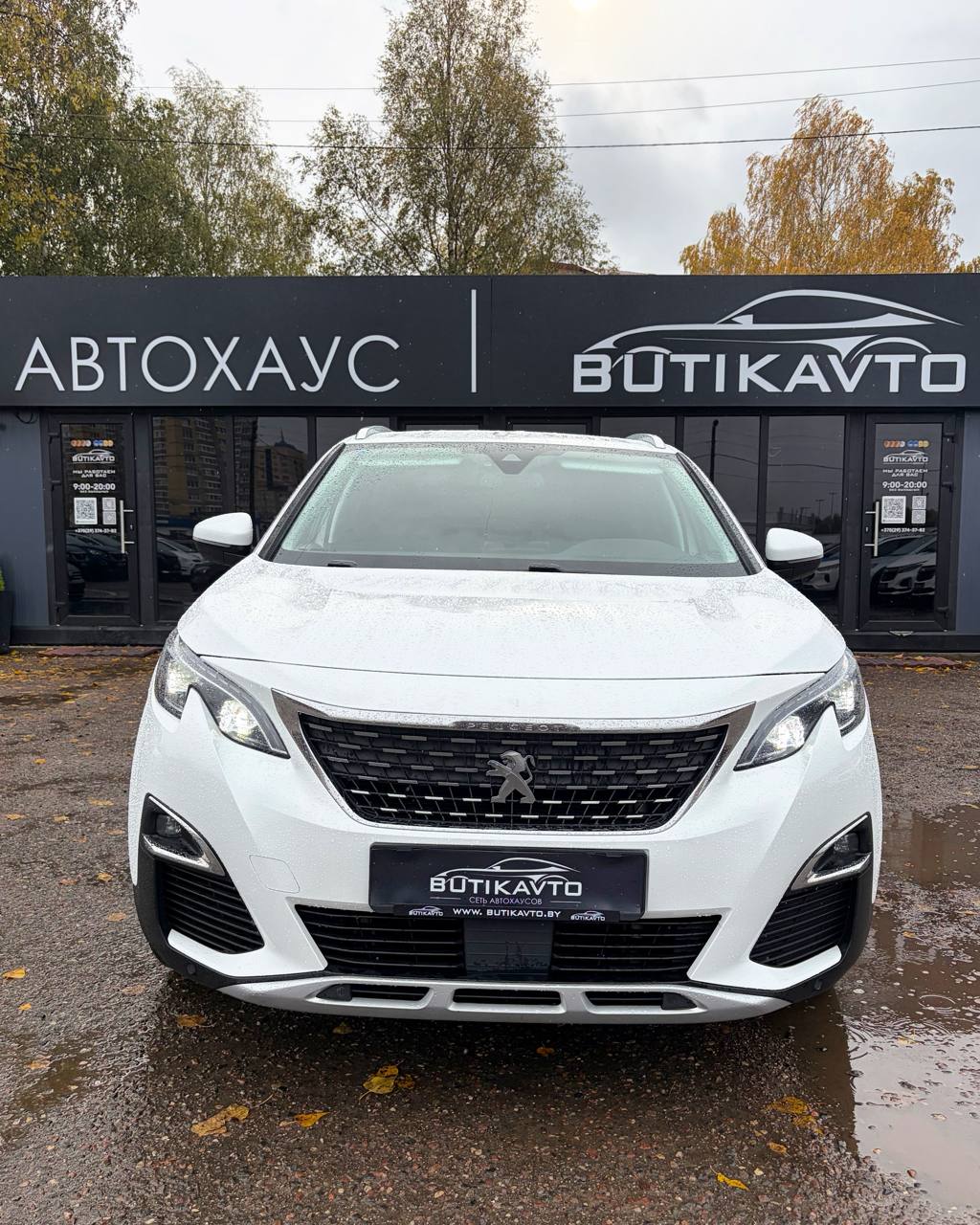  3008